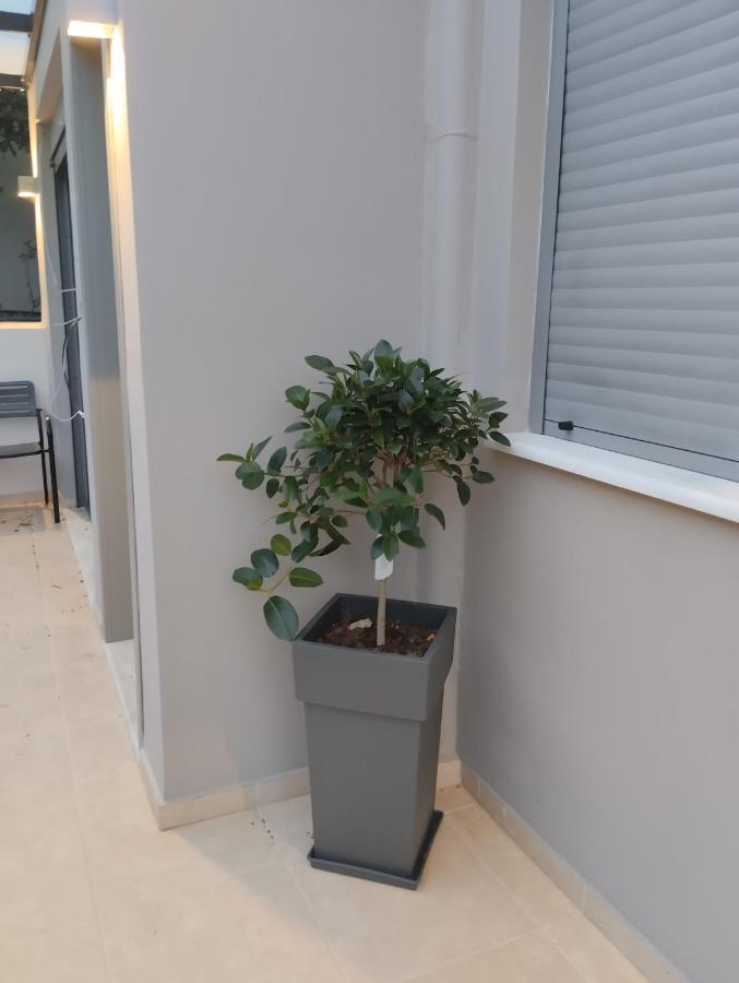 Animus Premium Apt نافبليو المظهر الخارجي الصورة